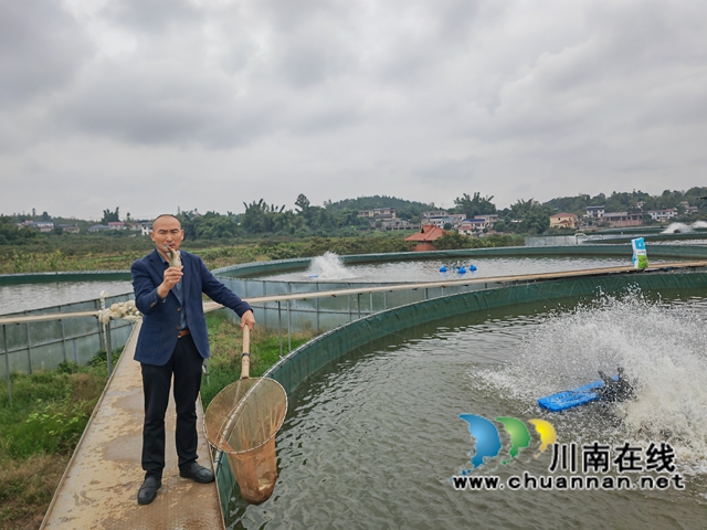 趙錫林展示他養(yǎng)殖的鱸魚（曾佐然攝）.jpg