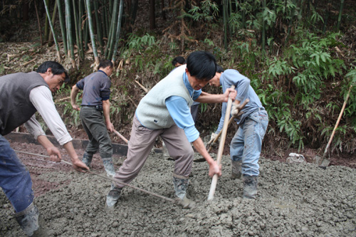 打古鎮(zhèn)：加快農(nóng)村公路建設(圖1)