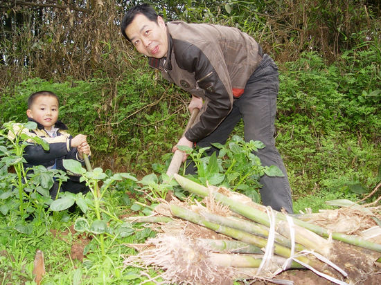 合面鎮(zhèn)：全民栽代代傳栽竹造林美化家園(圖2)