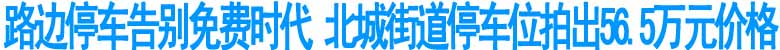 瀘州北城街道臨時(shí)占道停車位以56.5萬元價(jià)格成交