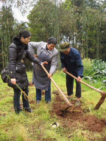 棉花坡鎮(zhèn)：打造千畝翠竹示范點(圖1)