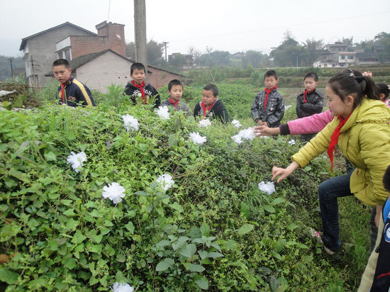 白節(jié)鎮(zhèn)中心校：緬懷革命先烈 追思添動(dòng)力