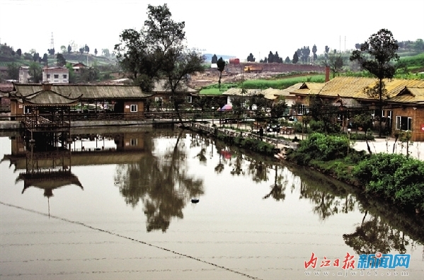 新型城鎮(zhèn)化：內(nèi)江市近半鄉(xiāng)鎮(zhèn)已與城市“接軌”(圖8)