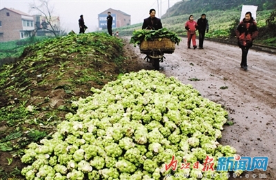 新型城鎮(zhèn)化：內(nèi)江市近半鄉(xiāng)鎮(zhèn)已與城市“接軌”(圖10)