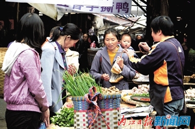 新型城鎮(zhèn)化：內(nèi)江市近半鄉(xiāng)鎮(zhèn)已與城市“接軌”(圖15)