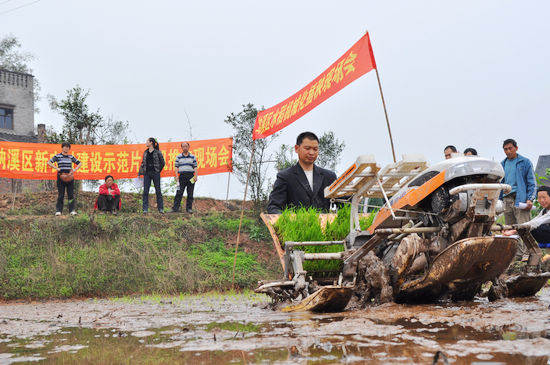 納溪區(qū)：現(xiàn)場會推廣水稻農(nóng)機栽插(圖2)