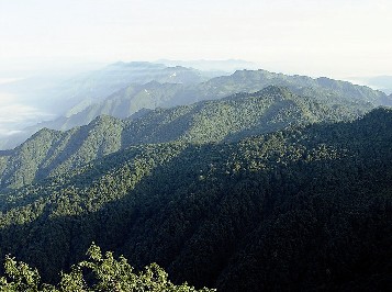 宜賓老君山自然保護(hù)區(qū)晉升“國(guó)家級(jí)”(圖1)