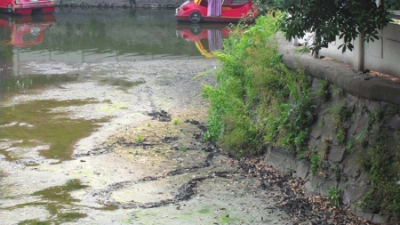 宜賓：持續(xù)高溫干旱 人民公園湖底干裂了