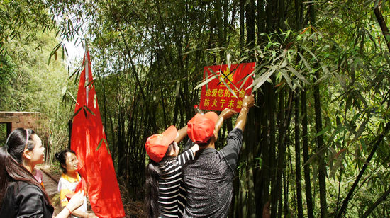 天仙志愿者 青春在奉獻(xiàn)中熠熠生輝(圖2)