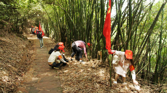 天仙志愿者 青春在奉獻(xiàn)中熠熠生輝(圖1)