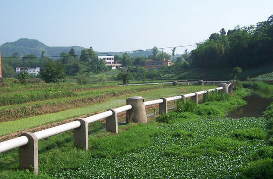 合江佛蔭：特色生態(tài)創(chuàng)建走出一條發(fā)展路(圖2)