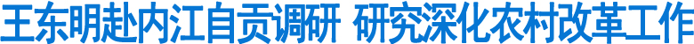 王東明赴內(nèi)江自貢調(diào)研 研究深化農(nóng)村改革工作(圖1)