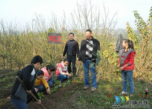 瀘縣兆雅：讀書郎種莊稼(圖1)