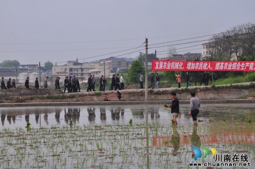 全市水稻機(jī)械化作業(yè)暨高標(biāo)準(zhǔn)農(nóng)田建設(shè)現(xiàn)場(chǎng)會(huì)在瀘縣召開(kāi)(圖1)