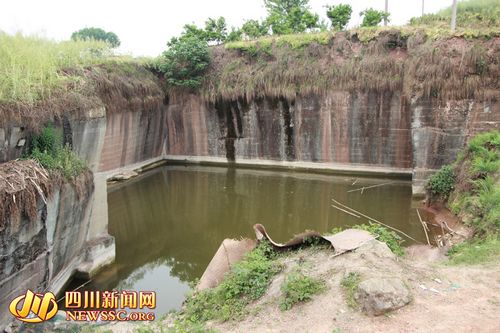 自貢一奶奶背起孫子跳水雙雙死亡(圖1)