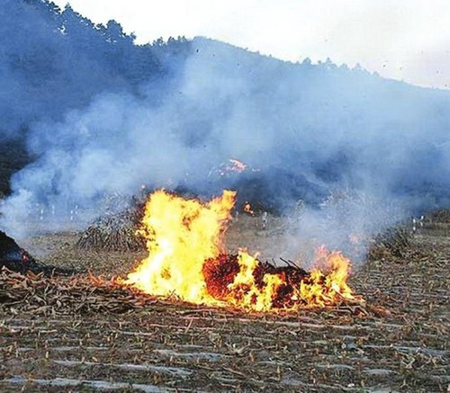 川南建聯(lián)防聯(lián)控機(jī)制 自貢秸稈禁燒情況每周報(bào)(圖1)