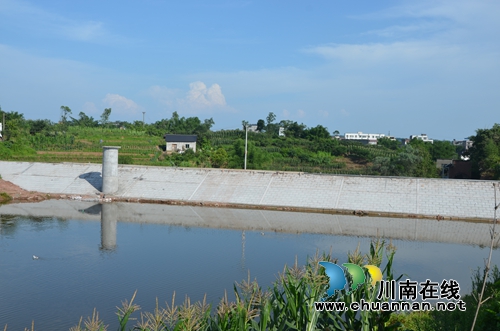 瀘縣太伏：加快水利設(shè)施建設(shè) 助推農(nóng)業(yè)發(fā)展(圖2)