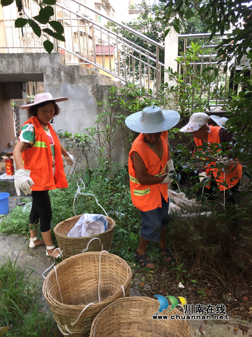 龍馬潭紅星街道清理失地農(nóng)民小區(qū)衛(wèi)生死角(圖1)