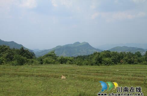 古藺縣東新鎮(zhèn)將舉辦第三屆西南獼猴桃音樂節(jié)(圖6)