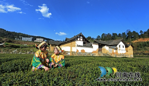 陳大剛：茶葉尖上的馬嘶(圖7)