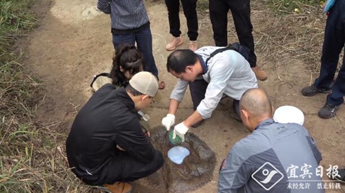 宜賓小伙拍到恐龍腳印 專家確認(rèn)是實(shí)雷龍足跡(圖1)