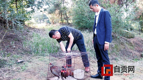 自貢：餐館公開賣野生動物 老板被舉報受處罰