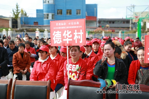 古藺東新鎮(zhèn)：在音樂節(jié)中沸騰 因產業(yè)發(fā)展振興(圖16)