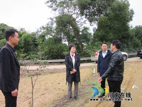 陳佳到瀘縣潮河鎮(zhèn)督導(dǎo)脫貧攻堅工作并開展河長制巡查(圖3)