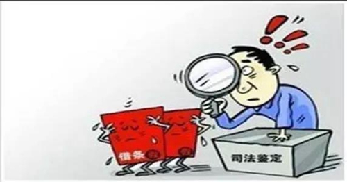 小伙兒情緒激動(dòng)找到法官欲下跪，竟是因?yàn)椤?圖4)