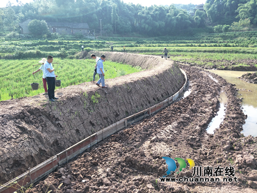 瀘縣云龍鎮(zhèn)：著力實(shí)施土地整理項(xiàng)目 為全面振興鄉(xiāng)村添油加彩(圖3)