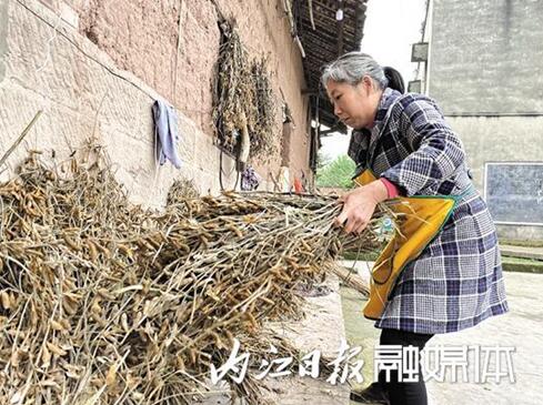 悉心照顧公婆十余載 內江兒媳用行動踐行孝道(圖2)