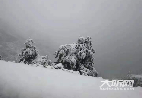 瀘州山區(qū)迎降雪 高速交警奮戰(zhàn)在一線保暢通(圖1)