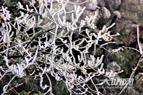 瀘州山區(qū)迎降雪 高速交警奮戰(zhàn)在一線保暢通(圖2)