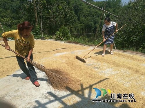 寒冬中 納溪區(qū)法院給脫貧戶送去一抹溫情(圖3)