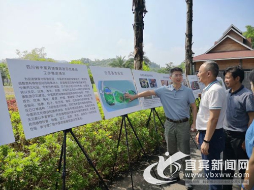 長寧蜀南花海獲批全省中醫(yī)藥健康旅游示范基地(圖1)