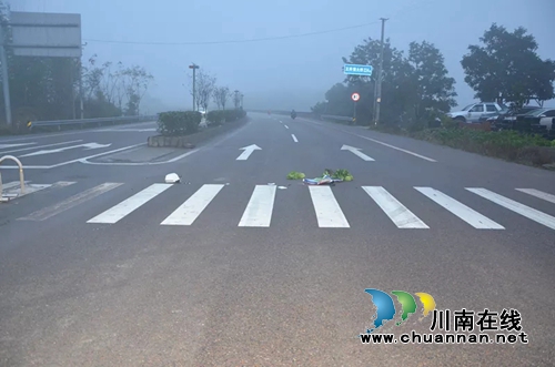 合江：車輛肇事撞人逃逸 民警排查將其抓獲(圖1)