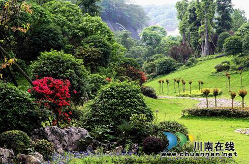 瀘州將全力打造“公園城市”新名片(圖1)