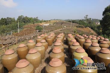 “藺沙溪”品牌創(chuàng)始人姜琳：誓讓古藺土特產(chǎn)走向全國(guó)！(圖26)