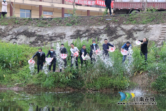 龍馬潭區(qū)魚塘街道開展2020年龍溪河流域魚塘段漁業(yè)增殖放流活動(圖1)