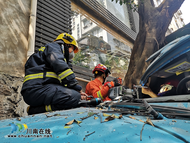 ???視頻||垃圾車失控撞樹副駕駛員被困 瀘州消防緊急救援(圖1)