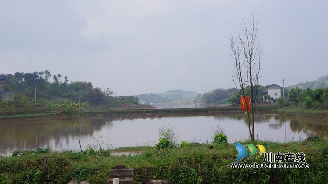 瀘縣立石鎮(zhèn)殘疾人李世興：魚兒鋪就致富路 創(chuàng)業(yè)四年還清貸款20萬(圖1)