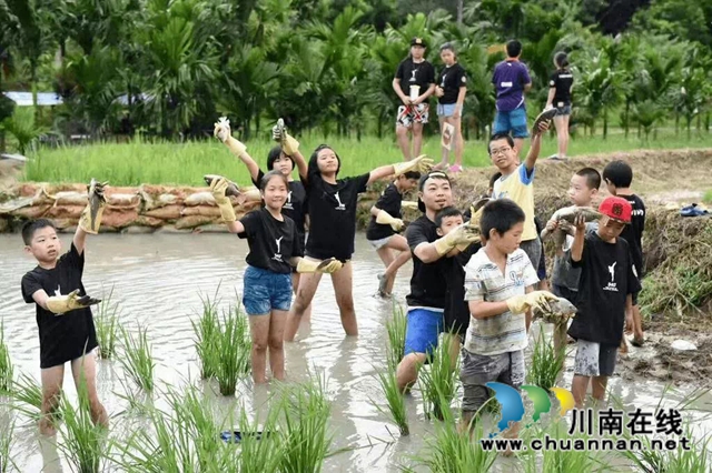 水美上馬?好享納溪||首屆“中國·麒麟水鎮(zhèn)”鄉(xiāng)村文化旅游季正式啟動！(圖9)