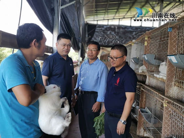 瀘縣喻寺鎮(zhèn)譚壩村：駐村工作隊不簡單? 敢叫貧困村變成美鄉(xiāng)村(圖6)