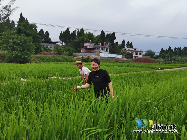 瀘縣太伏鎮(zhèn)：玩抖音開網(wǎng)店種養(yǎng)新奇特 駐村工作隊講好伏龍村富農(nóng)脫貧故事(圖5)