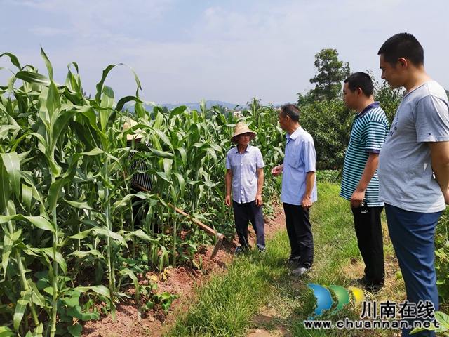 瀘縣天興鎮(zhèn)志城村：辦市場(chǎng)、興產(chǎn)業(yè)、育能人 駐村工作隊(duì)的三大脫貧法寶(圖4)