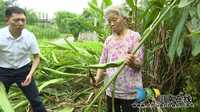 合江縣鼓樓山村“海歸”職業(yè)經(jīng)理人鄧啟明：走出“小家”，心存“大家”(圖1)