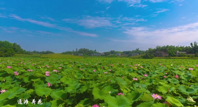 行走江陽｜三十秒帶你看絕美的光影(圖1)