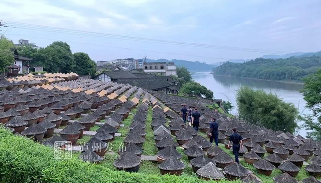 合江、隆昌、翠屏區(qū)入選成渝地區(qū)雙城經(jīng)濟(jì)圈建設(shè)縣域集成改革首批試點(diǎn)名單(圖4)