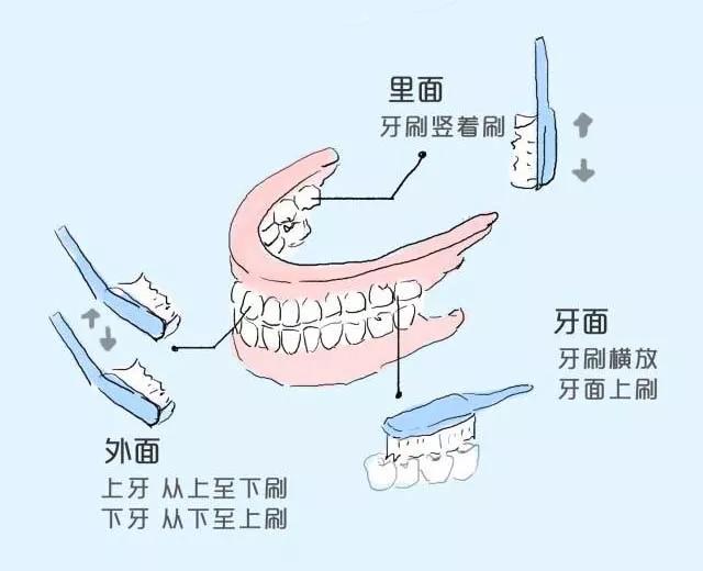 【注意】每天這樣刷牙，竟是在毀掉我們的牙齒？(圖4)