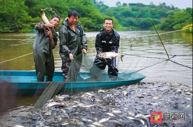 豐收啦！被這組鹽都農(nóng)民的笑臉暖化(圖10)